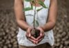 journee-mondiale-de-l-environnement
