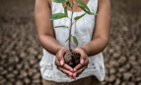 journee-mondiale-de-l-environnement