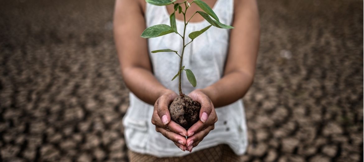 journee-mondiale-de-l-environnement
